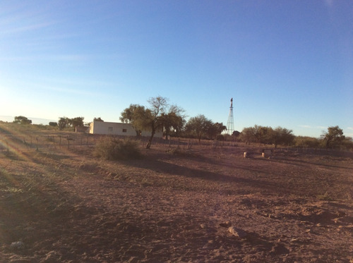 Imagen 6 de 7 de Gran Campo Ganadero!
