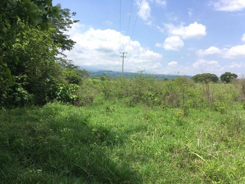Imagen 19 de 30 de 33 Has Cerca De Altozano El Nuevo Colima
