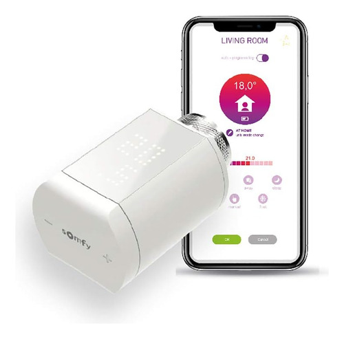 Somfy 1870508 - Válvula Termostática Io, Con Sensor