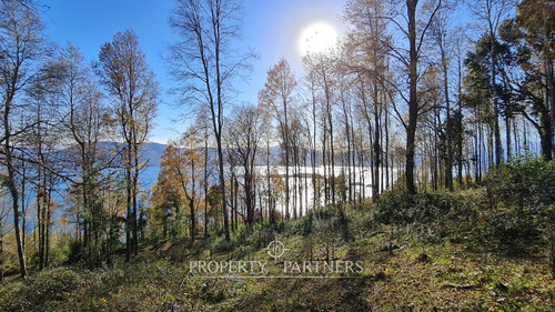 Terrenos Con Vista Al Lago Calafquén