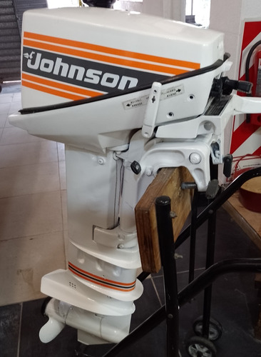 Imagen 11 de 18 de Motor Johnson Fuera De Borda Usado 9.9 Hp Pata Larga