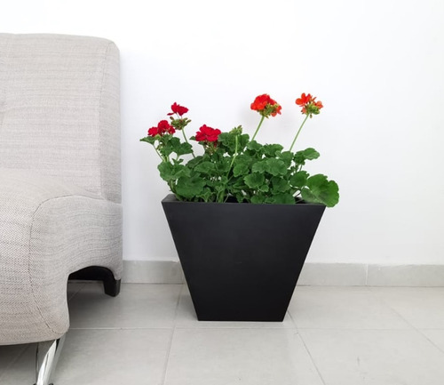 Imagen 1 de 5 de Maceta Minimalista Jardinera Mejor Que Fibra De Vidrio .79