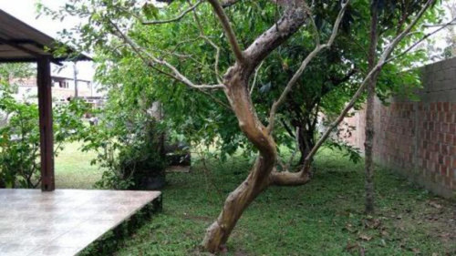 Casa Com Terreno De 900 Mts Em Peruíbe Litoral Sul- 3815 Npc