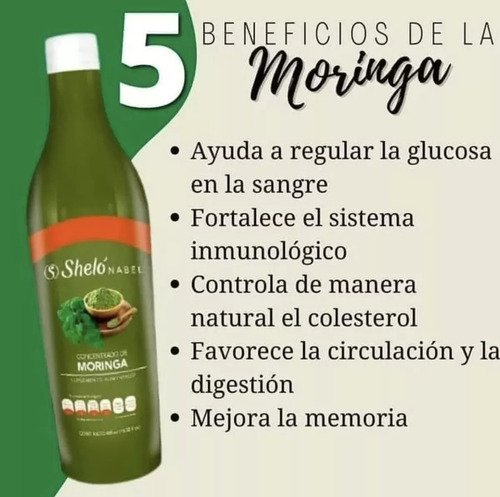 Concentrado De Moringa Shelo Nabel