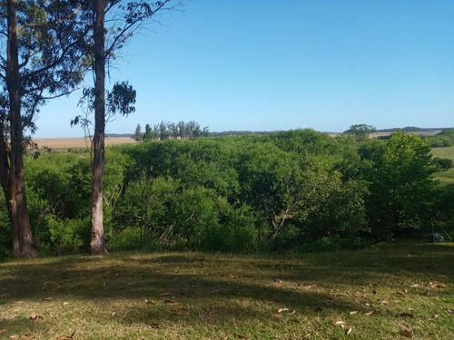 Chacra En Oportunidad Zona Jose Ignacio - Ref: 217418