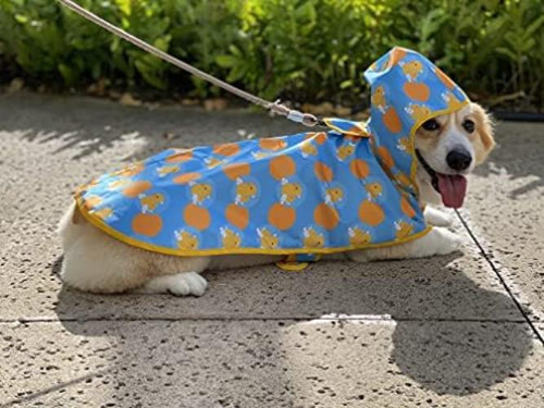 Poncho Impermeable Con Capucha Pooch & Paws Para Perros