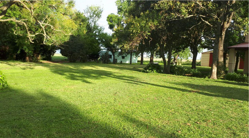 Campo De 30 Hectáreas En Pergamino
