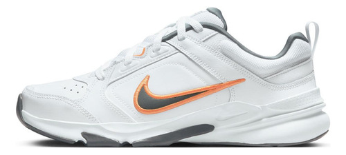 Tenis Hombre Nike Defyallday