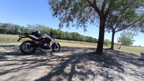Imagen 5 de 8 de Benelli Tnt300