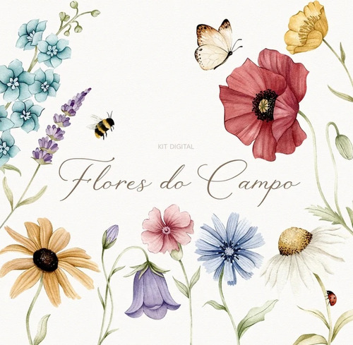 Kit Imagenes Png Cliparts Flores Rosas Colores Acuarela Lb12