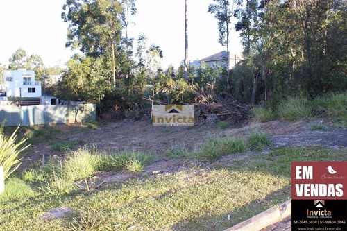 Imagem 2 de 4 de Terreno Localizado No Condominio Buena Vista - V-139