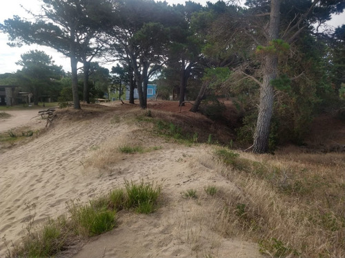Imagen 7 de 15 de Terreno En Venta En Las Gaviotas