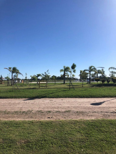 Lote N° 5 En Venta. Campos De La Enriqueta