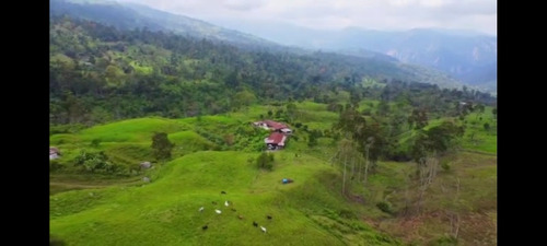 Excelente Finca En Chiguara Mérida