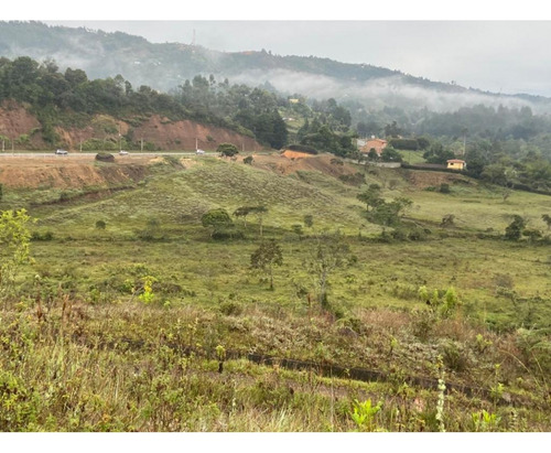 Venta Lote Rionegro Vereda La Mosquita