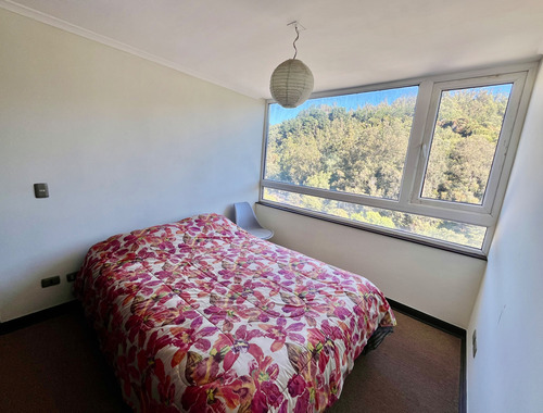 Departamento Céntrico 2d Concepción (81010)