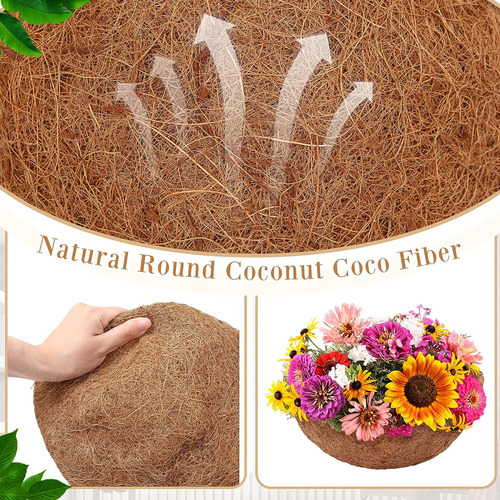 Dandat 12 Pcs Coco Forro De Coco De 14 Pulgadas Para Maceter