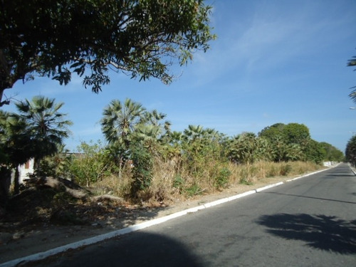 Imagem 2 de 4 de Terreno Para Alugar Na Cidade De Fortaleza-ce - L6545