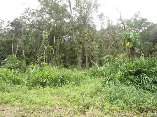 Imagem 2 de 3 de Terreno - Venda - Tropical - Itanhaem - Ita2522
