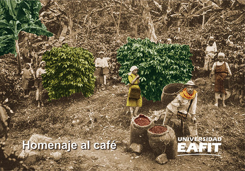 Homenaje al café. Incluye tarjetas postales, de Varios autores. Serie 9587204711, vol. 1. Editorial U. EAFIT, tapa blanda, edición 2018 en español, 2018