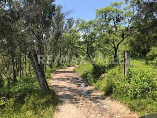 Imagen 2 de 14 de Terreno En Venta