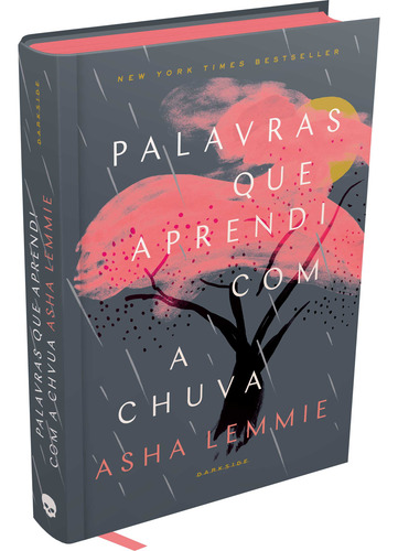 Livro Palavras Que Aprendi Com A Chuva