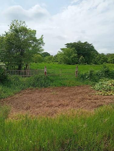 Finca De 83.5 Has. En Puerto Concha, Sur Del Lago De Maracaibo