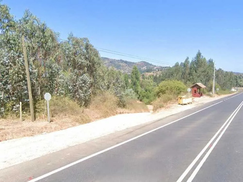 Predio Agricola De 4,67 Ha, La Palma, Curepto (80807)