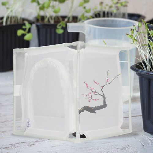 Jaula Observación Insectos Malla Pvc Blanco Reutilizable