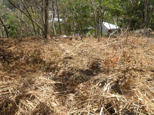 Imagem 7 de 7 de Terreno À Venda, 465 M² Por R$ 120.000,00 - Engenho Do Mato - Niterói/rj - Te4873