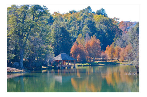 Tiny House En Parcela De 52,000 M² Parque Ecoturístico