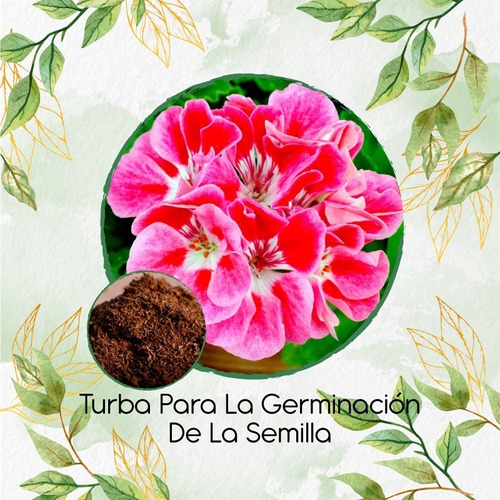 Turba Canadiense Especial Para Semillas De Pelargonio Rosa