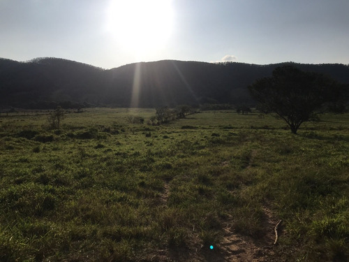 Imagem 3 de 10 de W36-lotes Com Topografia Plaina