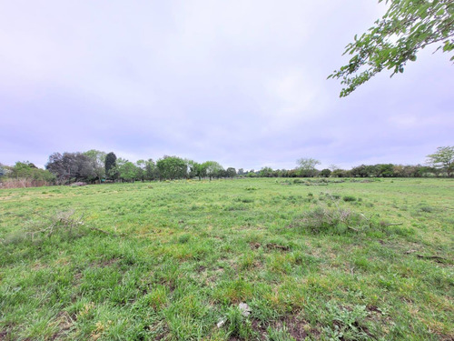 Terreno En Venta En Barrio Parque Altos El Ombu, Exaltación De La Cruz, Los Cardales, Gba Norte