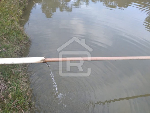 Imagem 20 de 30 de Itio Ideal Para O Seu Lazer Tendo 3 Lagos Piscosos Com Peixe, 02 Nascentes Próprias, Pomar, Horta. - 77 - 70066608