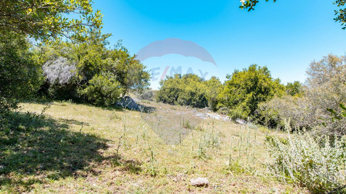 Chacras En Venta Ruta 39 San Carlos - Oportunidad!