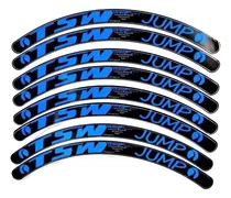 Comprar 8 Adesivos Rodas 29 Tsw Jump Bike Mtb Várias Cores