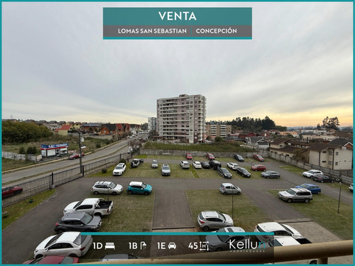 Departamento En Venta 1d | 1b | 1e En Lomas San Sebastian