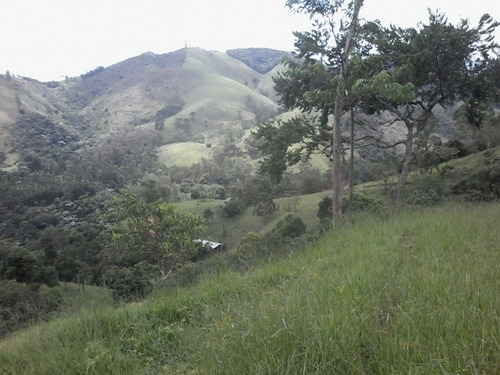 Imagem 2 de 2 de Sítio- 9 Hectares Em São Francisco Xavier Com Cachoeira - 496