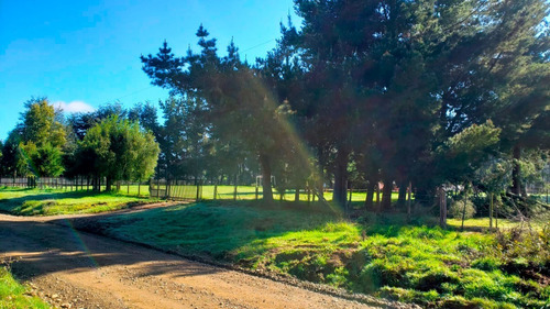 Imagen 2 de 22 de Lindos Terreno Región De Los Ríos, Valdivia, Los Lagos