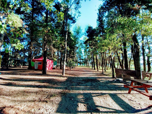 Imagen 12 de 14 de Terreno - Mar De Ajo
