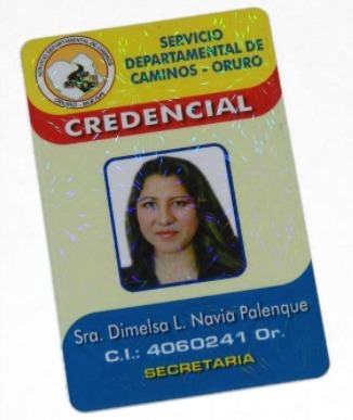 Imagen 5 de 7 de Paquete 15 Credenciales Plásticas Empresas / Escuelas