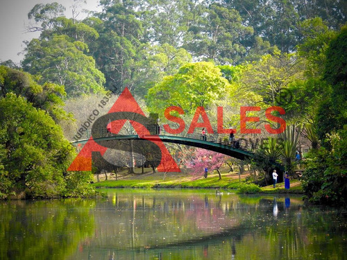 Imagem 19 de 30 de Terreno Em Jardim Paulista, São Paulo/sp De 330m² Para Locação R$ 9.000,00/mes - Te1972413-r