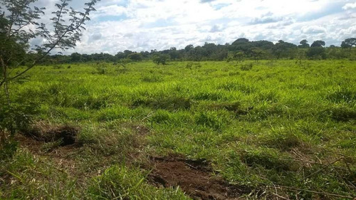 Fazenda De Gado E Graõ Com 455 Hectares Curvelo - 36426