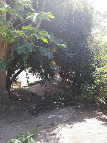 Imagem 21 de 30 de Vendo Chácara 30.000 M² Morungaba Com Casas, Nascente, Lago Piscina, Pasto. - Ch00018 - 33766655