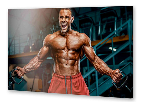 Cuadro 20x30cm Gimnasio Musculatura Hombre Fuerza Gym