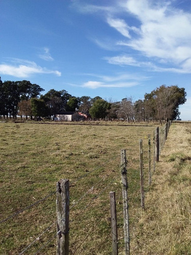 Campo En Venta En Pila. 300 Has. Mixto