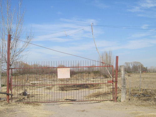 Imagen 7 de 8 de Finca En Venta - San Carlos - Valle De Uco