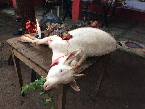 Imagem 5 de 10 de Amarração Amorosa Rápida, E Extremamente Garantida
