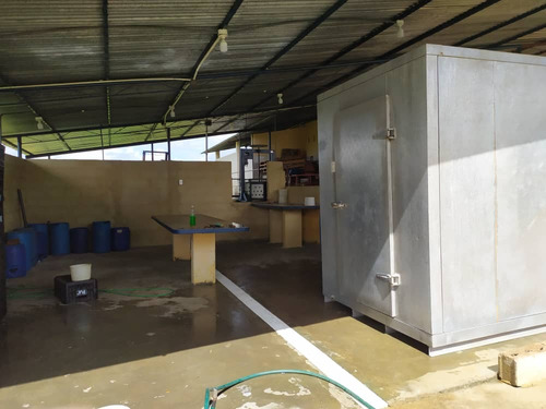 Vendo Finca En Tinaquillo Cojedes Mg